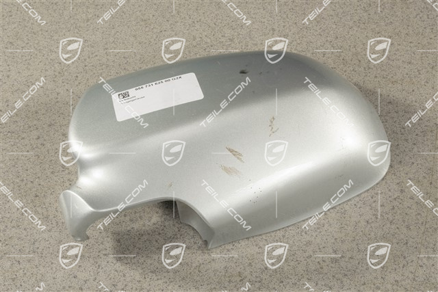 Aussenspiegel, Spiegelgehäuse, L