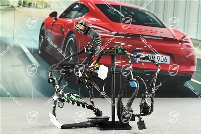 Kabelstrang / Kabelbaum, Fahrertür, Zuziehhilfe, Burmester sound system