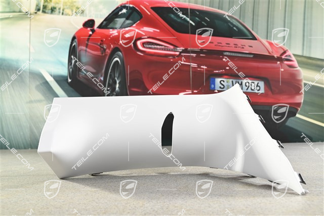 Kotflügel Blende, GT3 RS, R