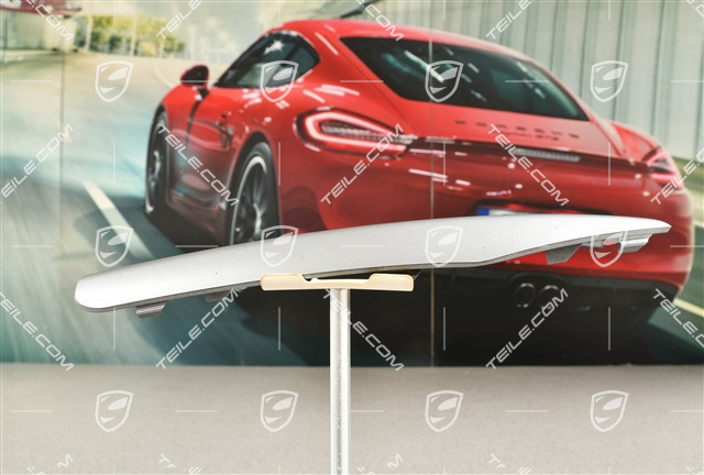 Front bumper retaining frame, lover cover trim, Titan Metallic, L