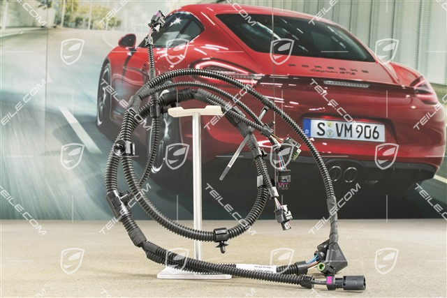 Kabelstrang, Stossfaenger vorne, R