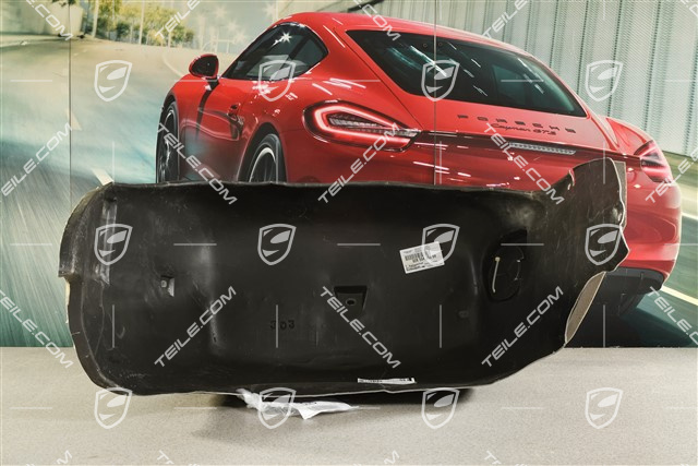 Radhausschale, Hinten, L