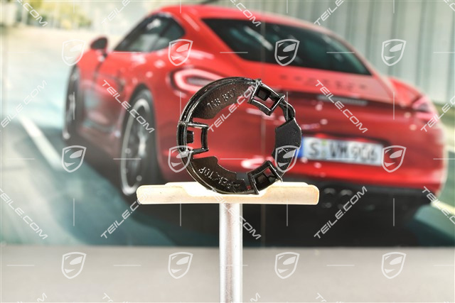 Haltering, D2S Brenner / Brinen, L=R