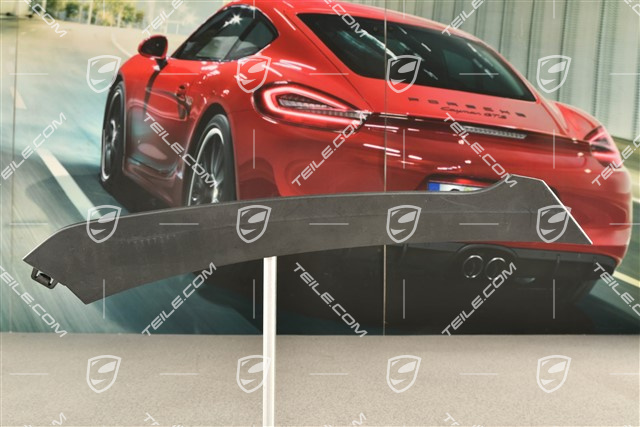 Turbo S, Disc / trim for front bumper retaining frame, lower, Black, R