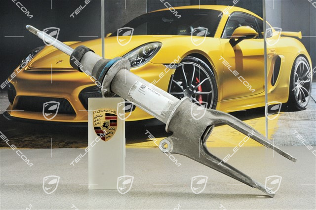 Stoßdämpfer, PASM, L=R