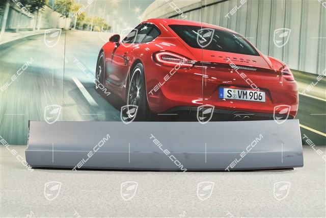 Rear door cover / molding, Turbo / GTS, L