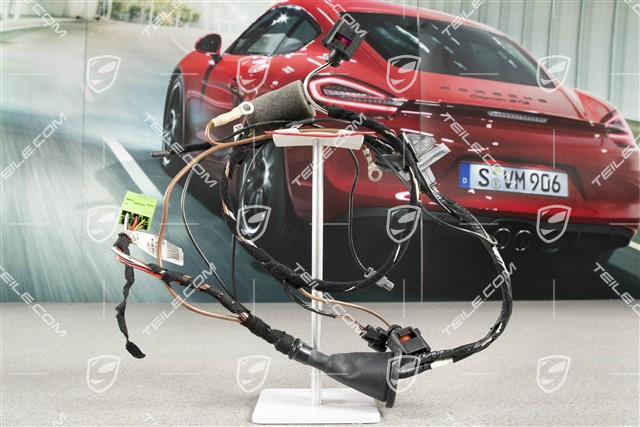 Wiring harness rear window, L