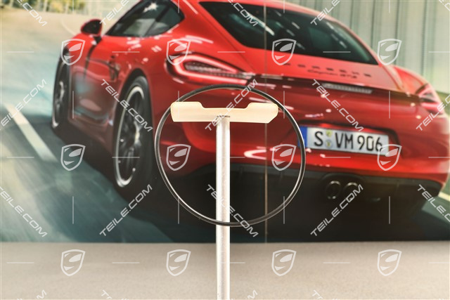 GT3 / GT3RS, Oring termostatu