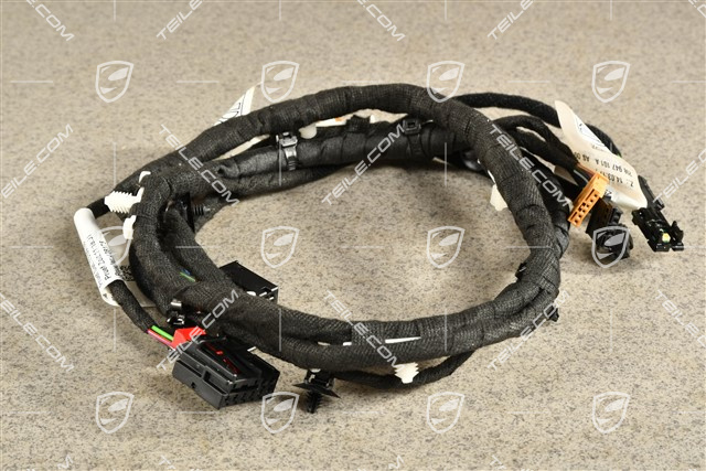 Wiązka instalacji elektrycznej / Nagłośnienie Bose