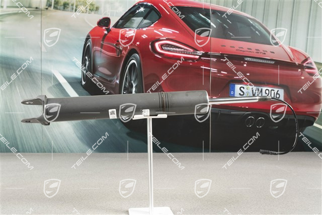 Stossdämpfer, Elektr. Dämpferregelung PASM / PDCC, Turbo, L=R