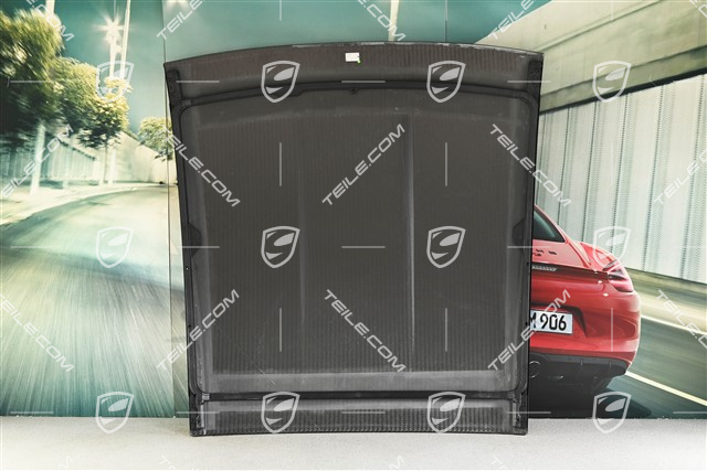 Outer roof panel, carbon, GT3RS, Weissach package, without antenna