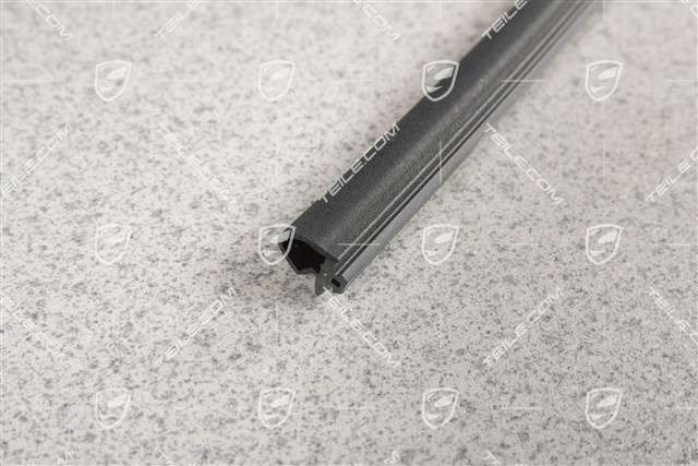 Glasdach Dichtung, Deckel hinten