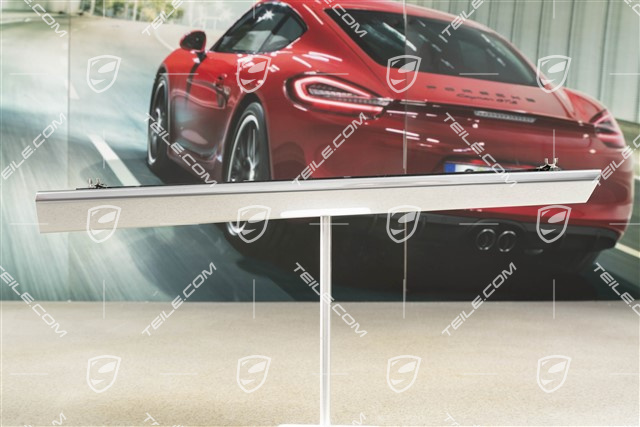 Trim, Passenger side, Galvano silver