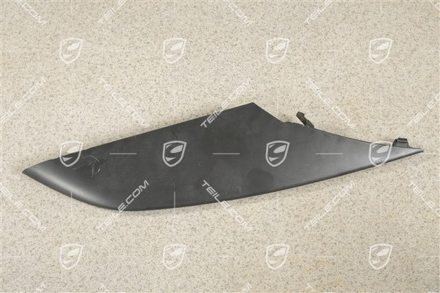 Front bumper disc / trim, lacquered, R