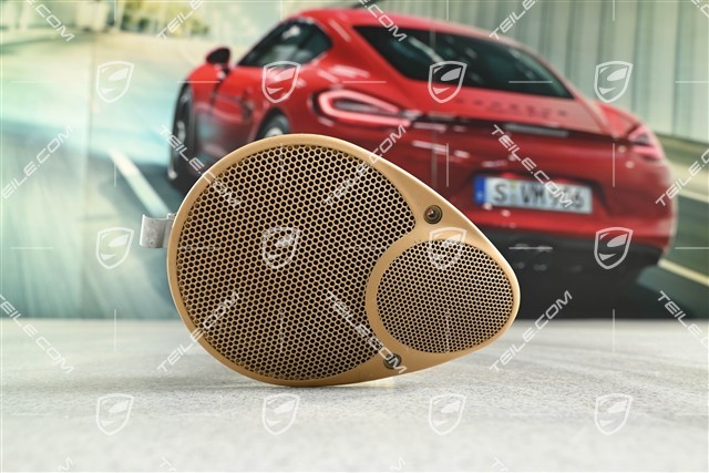 Coupe / Targa, Lautsprecher, Savanna, Hinten, R
