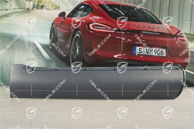 Strip, Rear door, Aluminium Package Black, (With Aerokit with sill cover), R