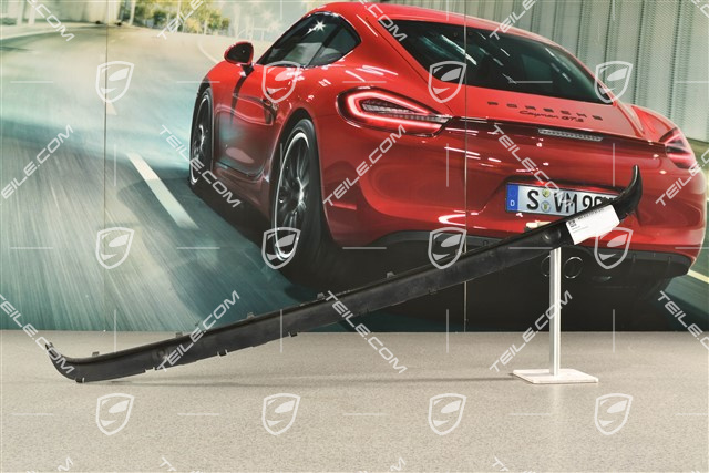 Rear spoiler trim