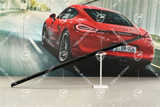 Uszczelka zgarniająca drzwi przednich, wewnętrzna, L