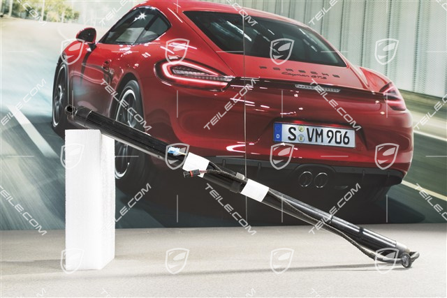 Stellelement, Dämpfer elektrisch, Servoschliesselung Heckklappe, L=R