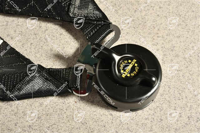 Six-point safety belt, Black, GT3, GT3 RS, GT2 RS, 991 CUP (not valid after 2023)