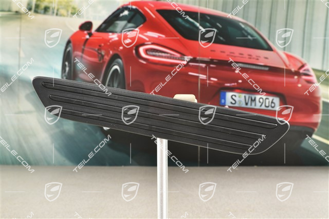 Einstiegleiste Blende, hinten, Titanschwarz, L
