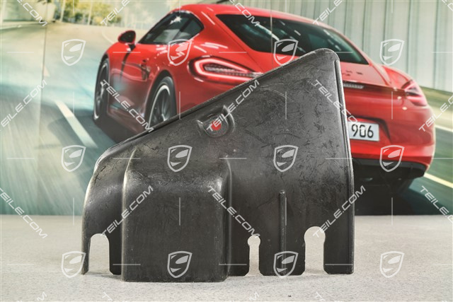 Trim cover fuses and relays box