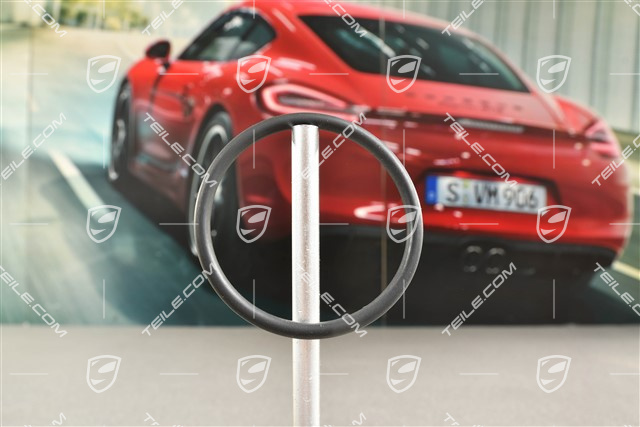 S / GTS / TURBO, O-Ring termostatu