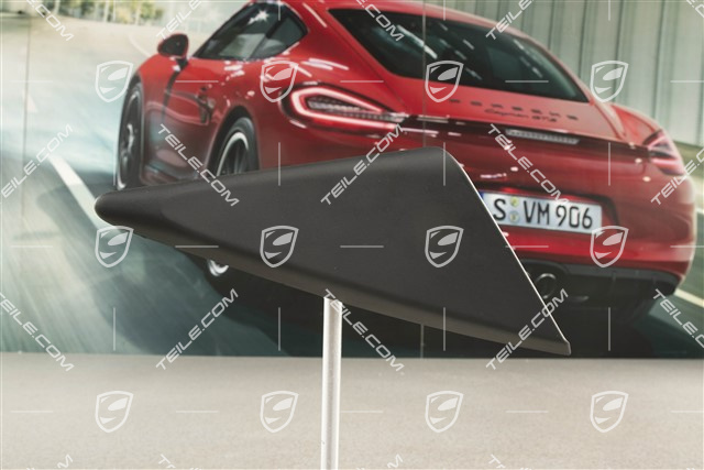 Verkleidung, Aussenspiegel, Schwarz, R