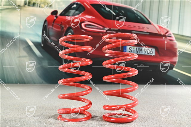 GT4, Federsatz / Schraubenfeder, PASM, VA, L+R