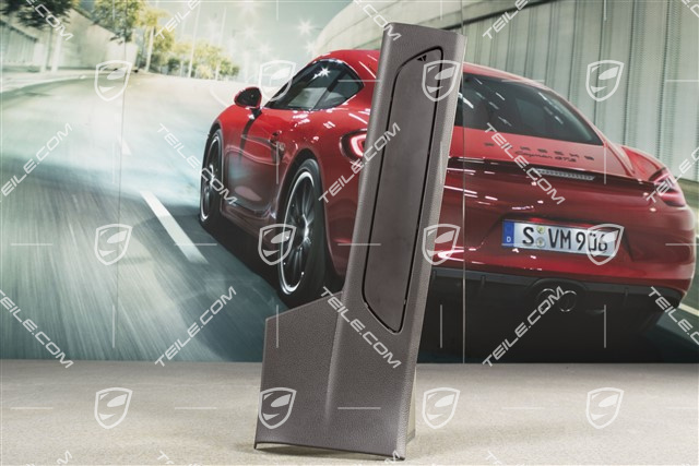 Einstiegleiste / Verkleidung, Espresso, hinten, Kurzer Radstand, R