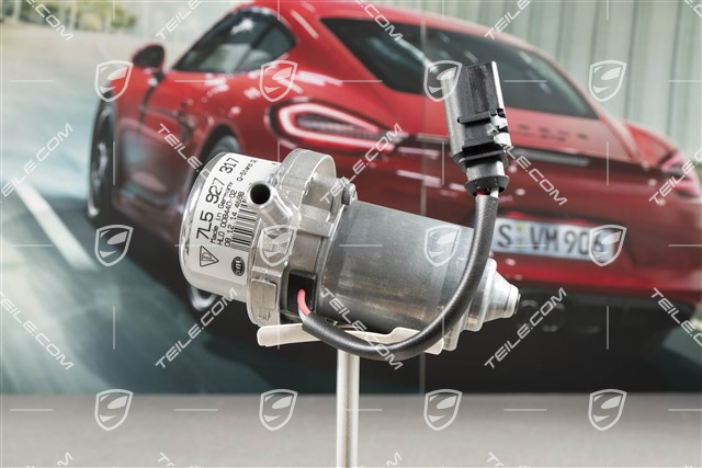 Pompa vaccum / podciśnienia, V8 4,5L Turbo