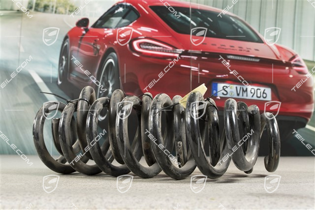 Schraubenfeder, 1 Satz, Kennzeichnung: weiss/braun/braun, V6 3,6L 206kW FSI / V6 3,0L 176kW TDI