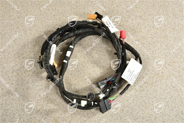 Wiązka instalacji elektrycznej / Nagłośnienie Bose