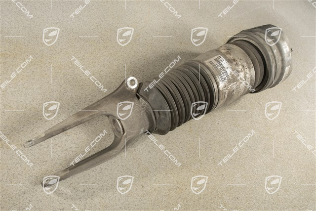 Federbein mit Luftfeder komplett, R
