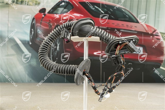 Wiring harness, Assembly frame, rear door, L=R