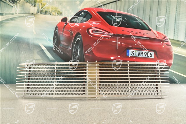 Kratka wentylacyjna silnika, srebrna