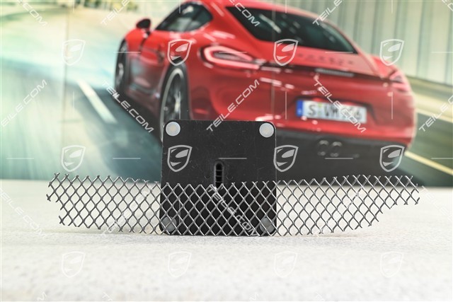 GT3 RS, Grille, Air outlet frame, L