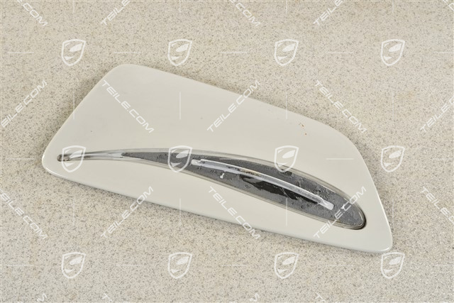 GT2RS Flügelplatte für Heckspoiler, R