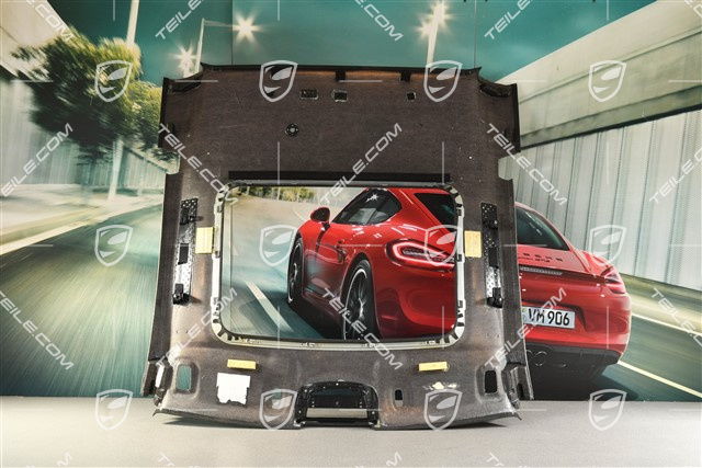 Dachverkleidung mit Glassschiebe/Austelldach, alcantara, schwarz