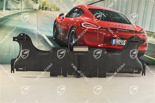 Underbody covering, rear