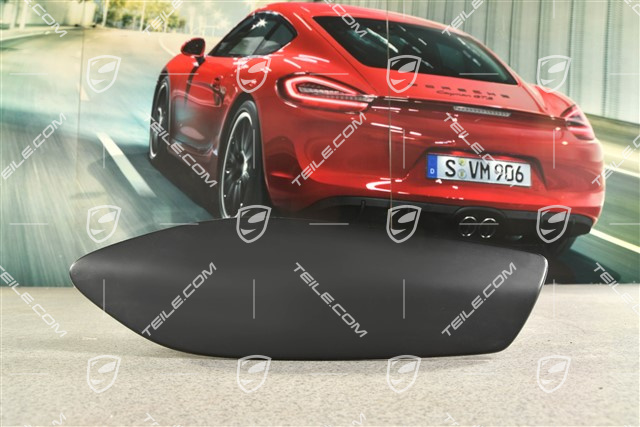 Wing plate, L
