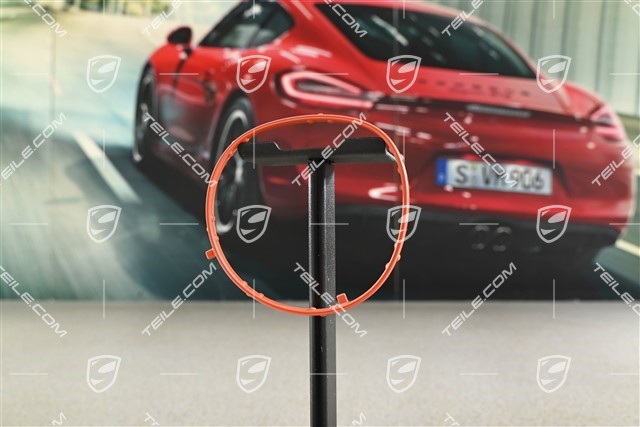 Uszczelka przepustnicy, GTS 4.0 / Spyder