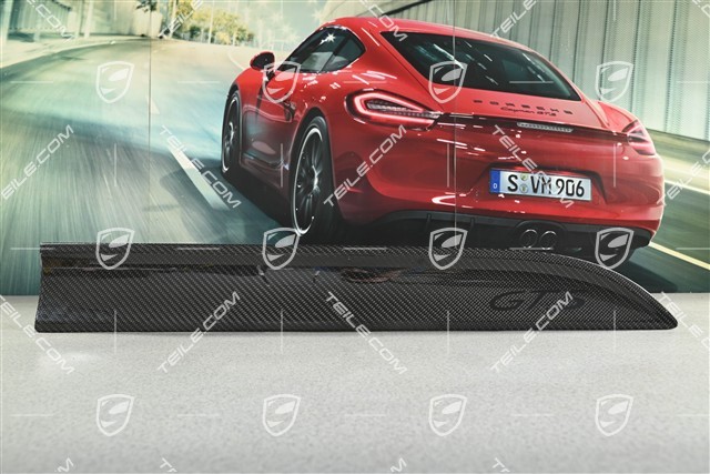 Blende, Tür, vorne, Carbon-Glänzend Schwarz, R
