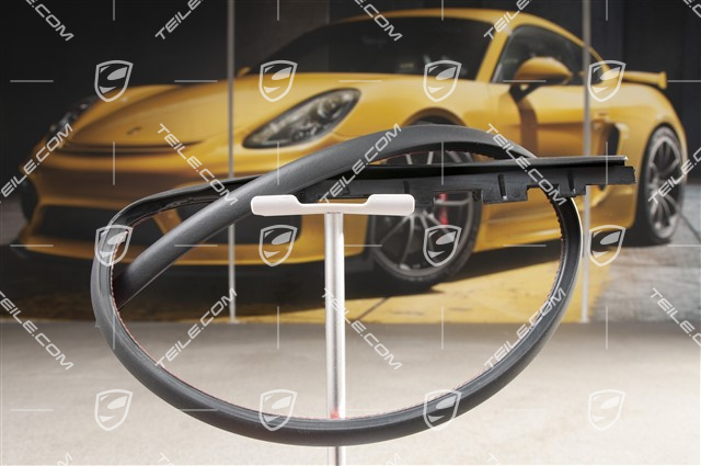 Hintere Tür-Dichtung, vorne, L