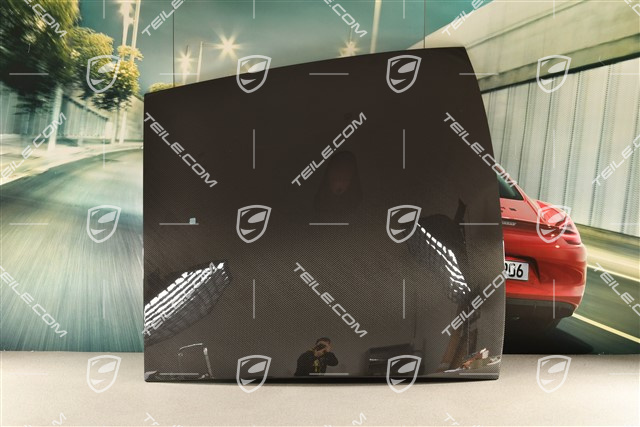 Outer roof panel, carbon, USA Version, with hole for antenna