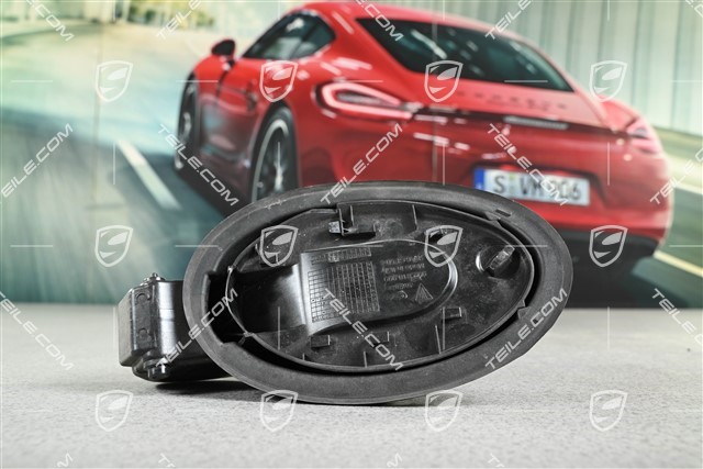 Fuel filler flap module
