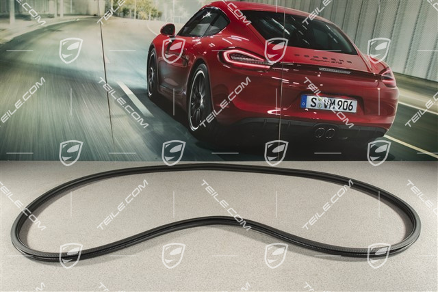 Türdichtung, innen, vorne, Coupe, L=R