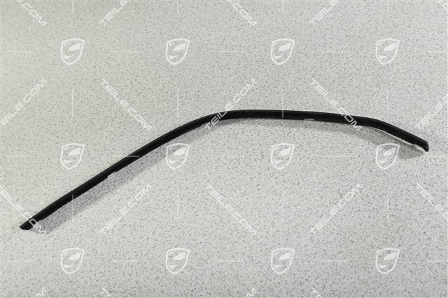 Türschachtdichtung / Abdichtleiste Aussen, Cabrio / Targa, L