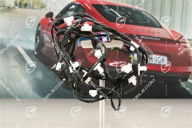 Kabelstrang, Türtafel, Beifahrertür, ASK, R