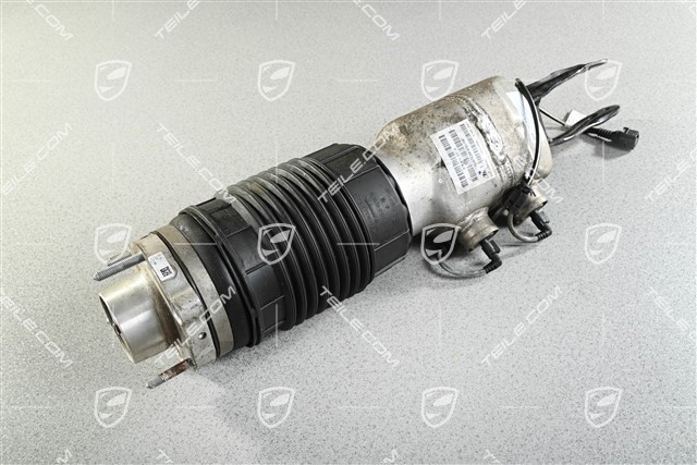 Stossdämpfer / Schwingungsdämpfer, Luftfederung, PASM, VA, Komplett, L